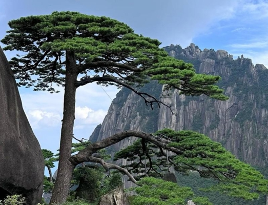 黄山